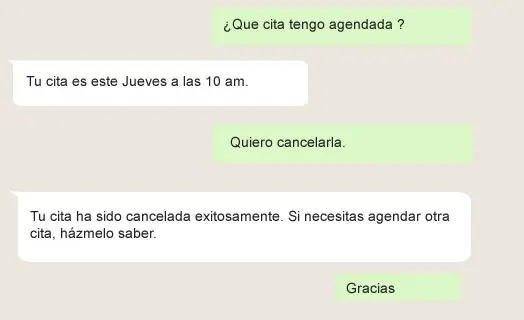 Cancela tu cita con el agente